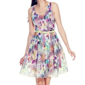 New York & Company Havana Multicolor Dress